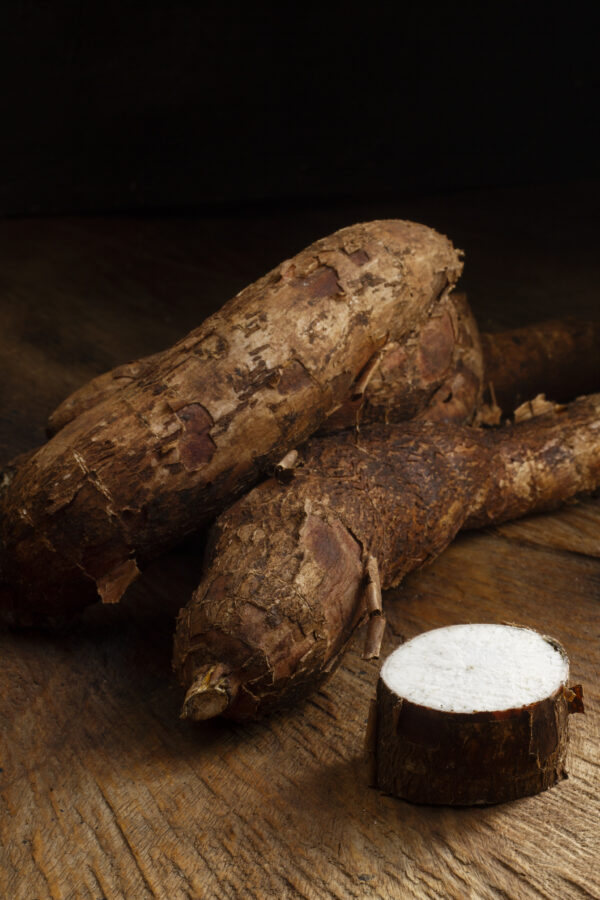 Cassava - Image 5