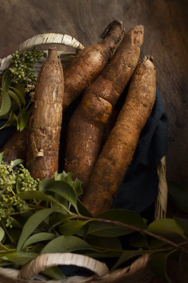 Cassava