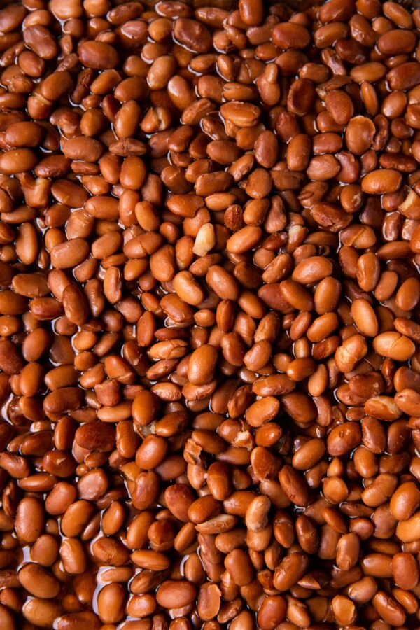 Soybeans - Image 3