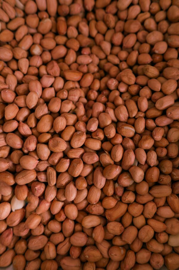 Soybeans - Image 4