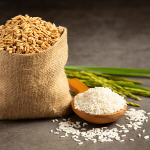 Rice