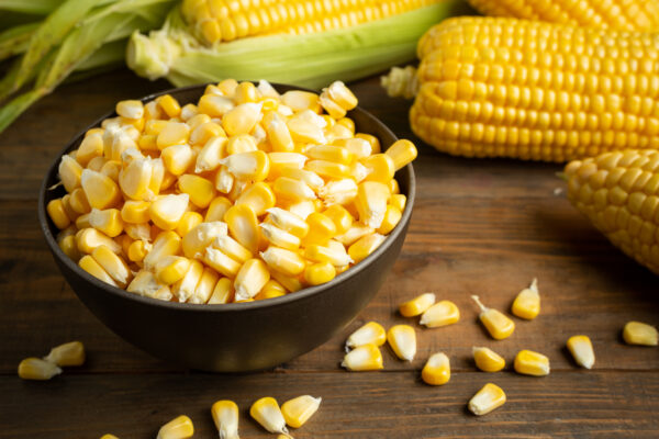 Maize - Image 3