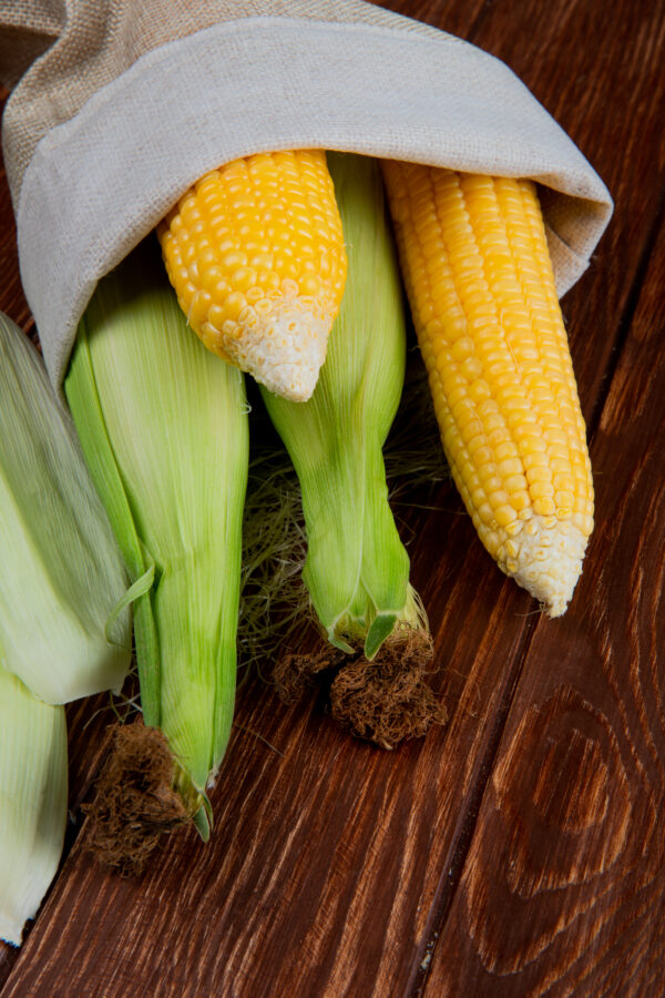 Maize - Image 4